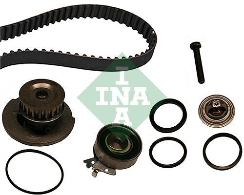 Ina 530000430 water pump - water,