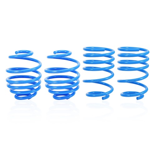 Lowering springs for - lowering,