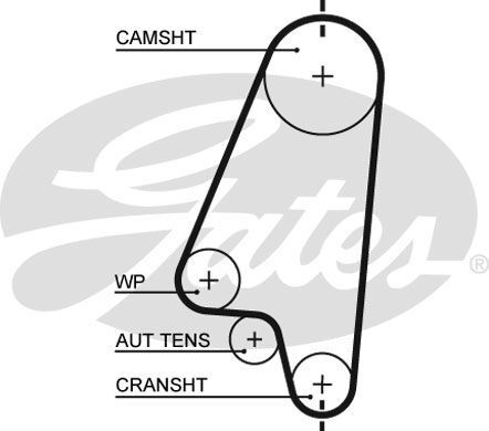 Genuine gates powergrip - gates, timing