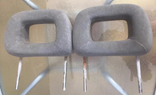 Genuine grey head - gm,