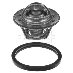 Borg beck thermostat - thermostat, kit